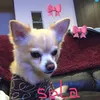 yoshie05191