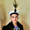 pakhtoon4494