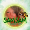 samsam76196