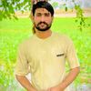 shahidaligujjar880