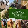 livestockgh