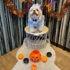 pawsitivefen