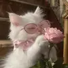 its_alisha_27