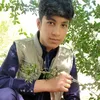 faoab112233