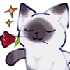 tiktok.id923
