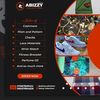 abizzy_collections
