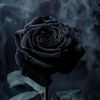 darknesslover489
