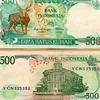 andripay212