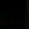 _foreveralone.05