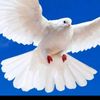 user6711996594107