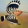 userlaith80