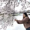 magarniisukuma