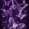 papillonviolet2