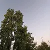 o_sg3