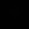 nef1ssa_