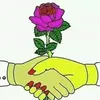 dys0iros8t2e