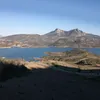 medrano__cand