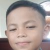 hly260