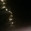 llulla26