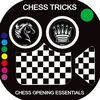 Chess Galleryan