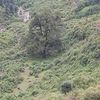 kamalkhan0179