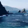 shvdy.14