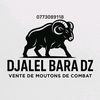 djallelbara