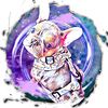 sterlinggrayfrenchie