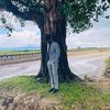 shahriyer_rahman