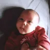 lovedalisay00