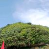 lanangtok0
