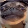 yuv_26