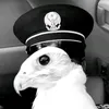 s_fai1
