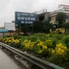 ng_cuong_209