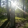 бог солнца ра@