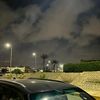 shahdwaleed710