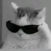 james_kai2