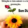 rozineidesilva9950