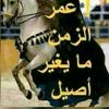user3428904162732