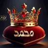 mohamed_hawzi
