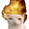 mmbbmgdmk