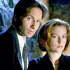 Mulder Fox 42