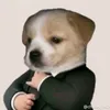 buihoanggg