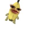 nad_ieez