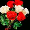 atharkhan7342