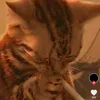avyysadd_