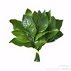 userdrqpj3nubp