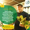 bayu.nursery