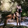 k9osloshop