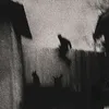 pester_vi202